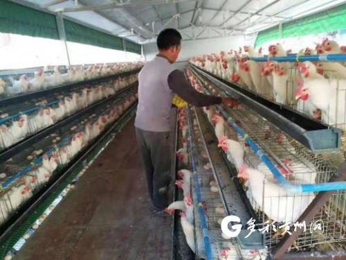 多彩貴州網 經濟頻道