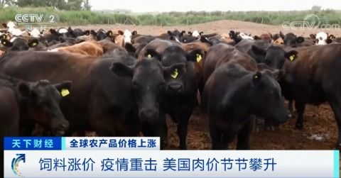 全球食品價格持續上漲,有地方漲幅驚人,意味著什么