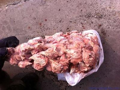 供應冷凍分割雞副產品貂食雞頭_靈昆雞_雞_畜牧家禽養殖_養殖供應_中國養殖致富網