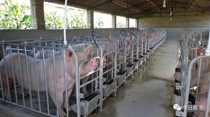 砥礪奮進的五年 |【臨滄生態建設篇】綠色產業:臨滄崛起“綠色發力”