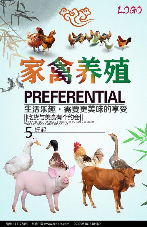 家禽養殖海報