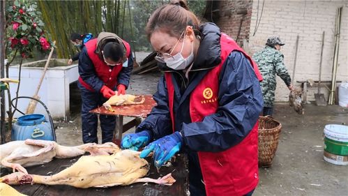 重慶涪陵 戰 疫 扶貧兩不誤 帶貨 支農服好務
