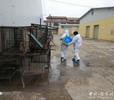 【疫情防控進行時】張家川縣畜牧獸醫(yī)事務服務中心全力做好新型冠狀病毒感染的肺炎疫情防控工作