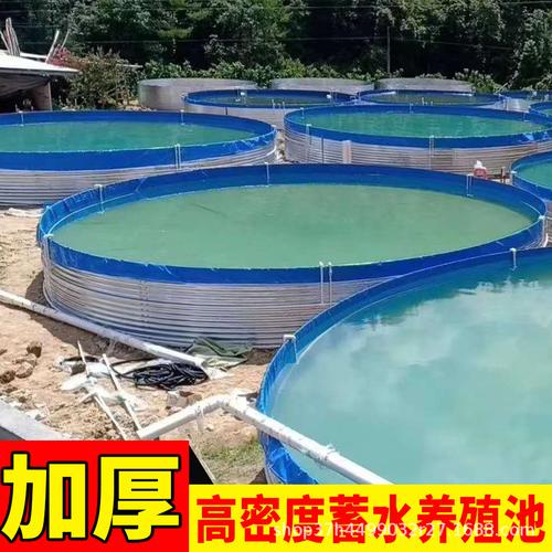 支架水池 戶外可移動水池水產養(yǎng)殖池可折疊pvc魚箱支架養(yǎng)魚池