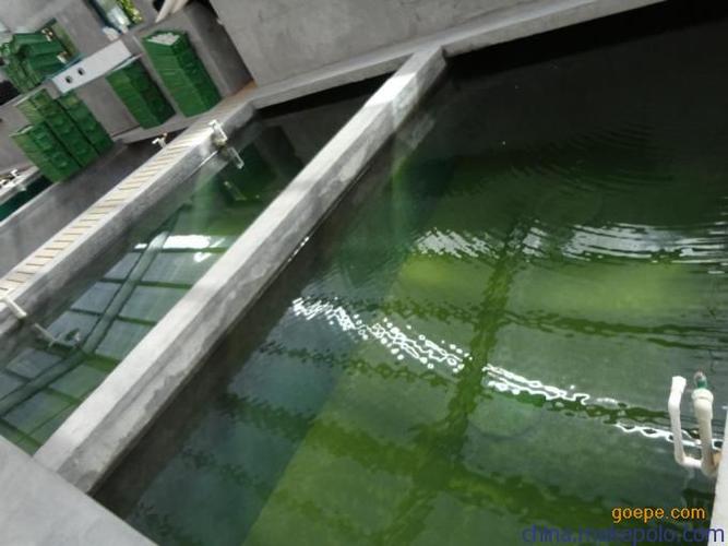 漁業(yè)養(yǎng)殖廠魚池隱性漏水止水環(huán)保型魚池防腐防水漆生產廠家