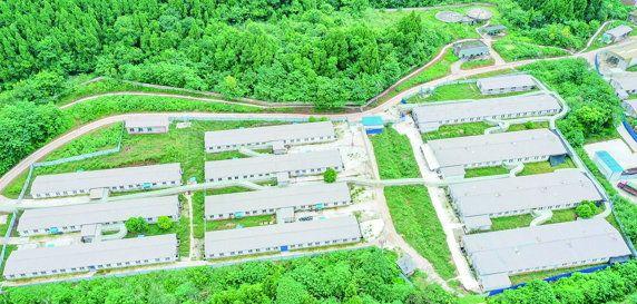 大英縣天保鎮把牢"三關" 加快畜禽養殖標準化建設