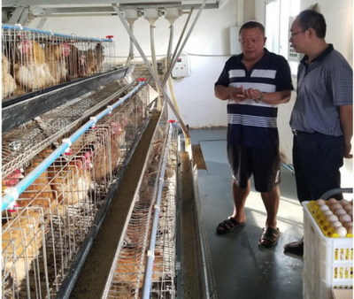 畢節市畜牧水產局赴納雍縣開展生態家禽產業調研