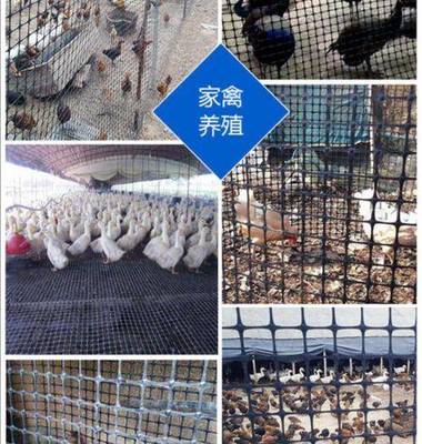雙邊護欄網哪個品牌好