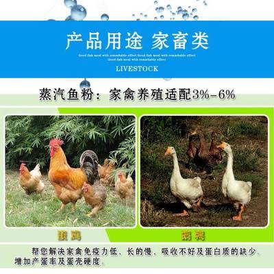 飼料用進口秘魯蒸汽日本級魚粉促進養殖營養吸收