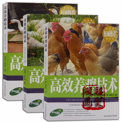 高效養雞技術高效養鴨技術高效養鵝技術科學養殖生態飼養家禽書籍