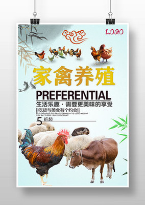 家禽養殖海報