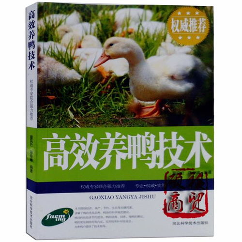 高效養雞技術高效養鴨技術高效養鵝技術科學養殖生態飼養家禽書籍