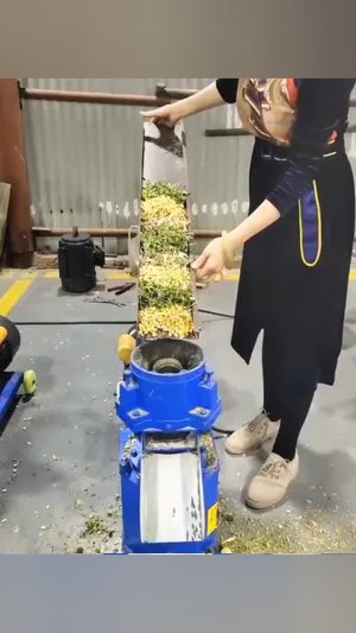 家禽養殖 畜牧業 水產養殖 養殖小妙招 畜牧養殖