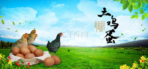 雞蛋背景背景圖片 雞蛋背景背景素材圖片 千庫網