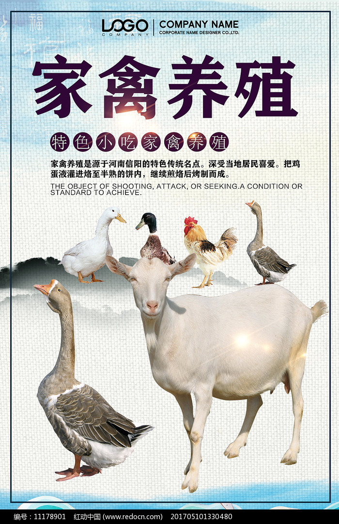 家禽生態(tài)養(yǎng)殖海報